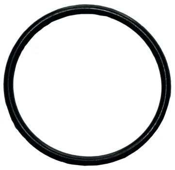 Bitzer O-Ring 372 001 07