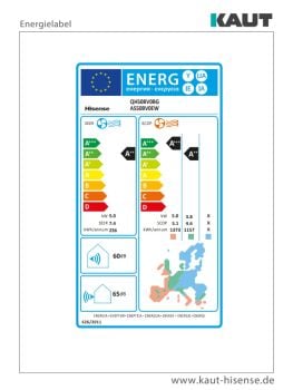 HISENSE Energy Pro X schwarz Wandgerät QH50BV0BG - 5,0 kW