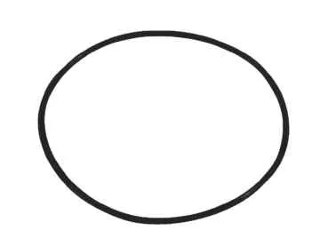 Bitzer O-Ring 372 001 19