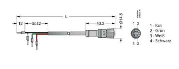 Danfoss Anschlusskabel m.Stecker f. ETS u.CCM/CCMT 034G2200